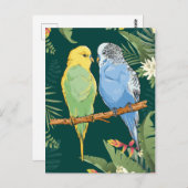 Two cute blue and green Budgie ポストカード (正面/裏面)