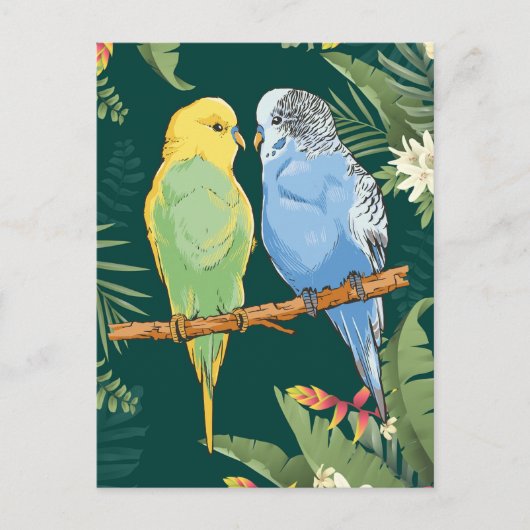 Two cute blue and green Budgie ポストカード (正面)