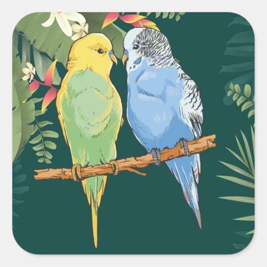 Two cute blue and green Budgies スクエアシール (正面)