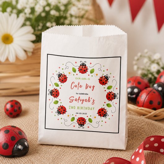 Two Cute Ladybug 2nd Birthday Party for Kids フェイバーバッグ