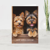 Two Cute Playful Yorkies Get Well Soon カード (正面)