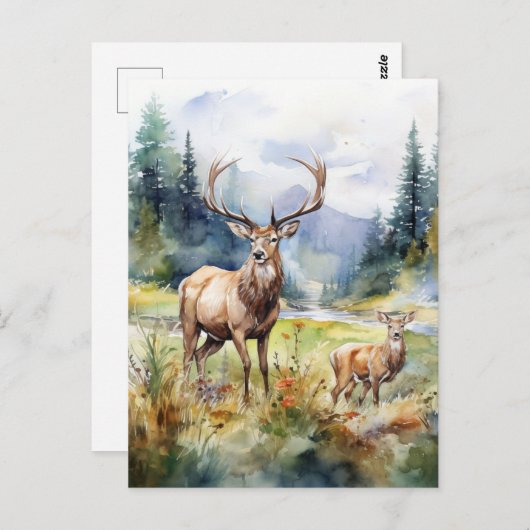 Two Deer ポストカード (正面/裏面)