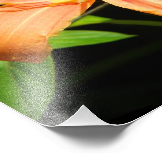 Two Flowers フォトプリント (角)