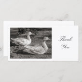 Two Geese – ありがとう サンキューカード (正面/裏面)