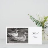 Two Geese – ありがとう サンキューカード (スタンド正面)