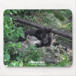 Two Gray Wolf Pupsの野生動物遊の自然写真 マウスパッド