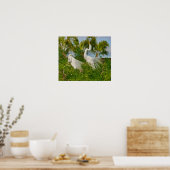 Two Great Egret Birds Print ポスター (キッチン)