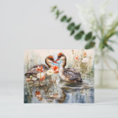 Two grebes among white pond plants シーズンポストカード (スタンド正面)