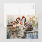 Two grebes among white pond plants シーズンポストカード (正面/裏面)