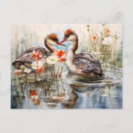 Two grebes among white pond plants シーズンポストカード