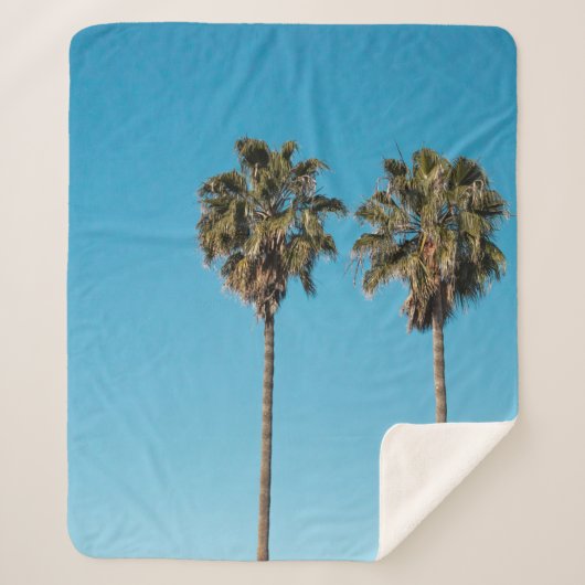 Two green coconut trees シェルパブランケット (正面)