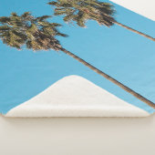 Two green coconut trees シェルパブランケット (3/4)