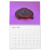 Two Green Frogs' 2026 Calendar カレンダー (1月 2027)