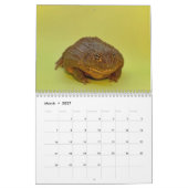 Two Green Frogs' 2026 Calendar カレンダー (3月 2027)