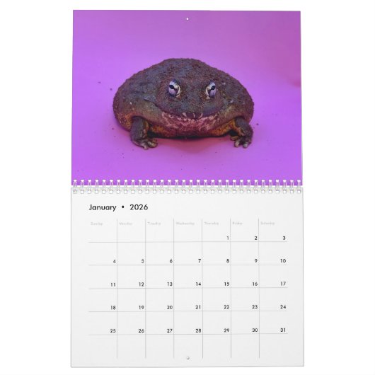 Two Green Frogs' 2026 Calendar カレンダー (1月 2026)
