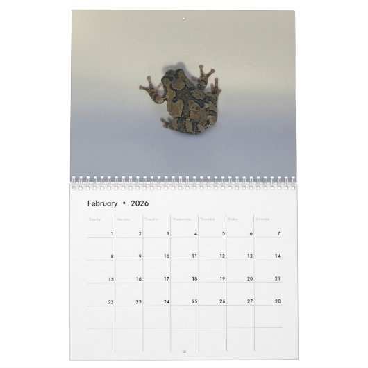 Two Green Frogs' 2026 Calendar カレンダー (2月 2026)