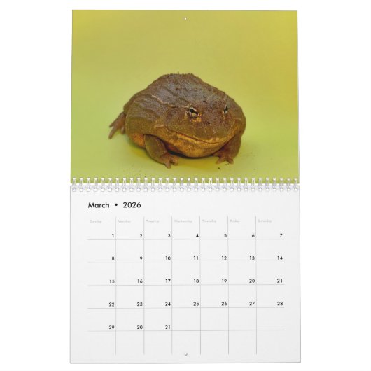 Two Green Frogs' 2026 Calendar カレンダー (3月 2026)