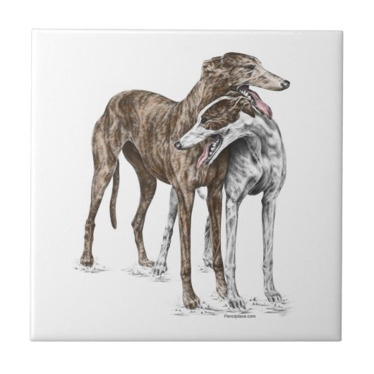 Two Greyhound Friendsドッグアート タイル (正面)