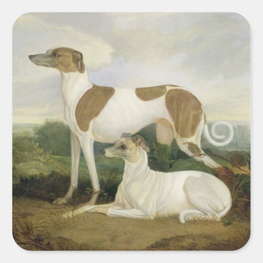 Two Greyhounds in a Landscape (キャンバス上の油) スクエアシール (正面)