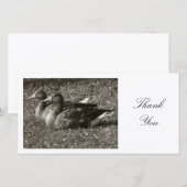 Two Greylag Geese – ありがとう サンキューカード (正面/裏面)
