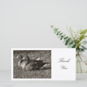 Two Greylag Geese – ありがとう サンキューカード (スタンド正面)