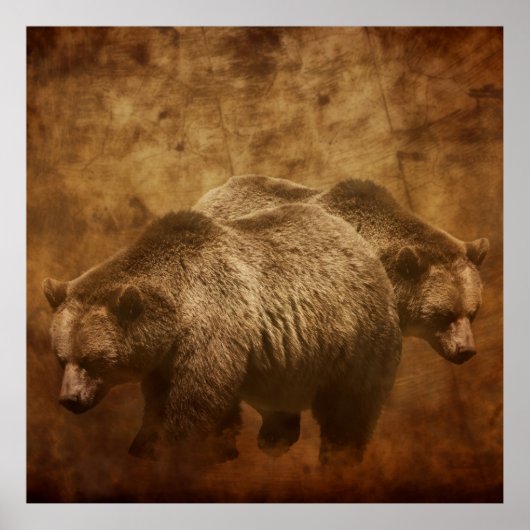Two Grizzly Bears in a Rustic Setting ポスター (正面)