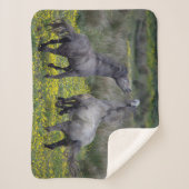 Two Horses Buck and Play シェルパブランケット (正面)