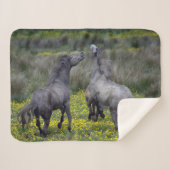 Two Horses Buck and Play シェルパブランケット (正面(横))