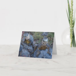 Two Iguanas Greeting Card カード