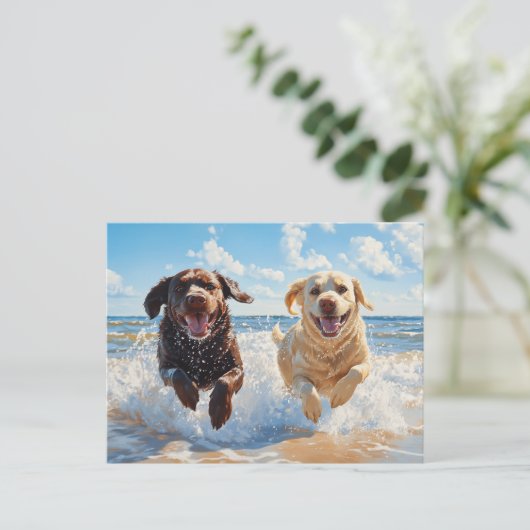 Two Labrador Retrievers on Beach ポストカード (スタンド正面)