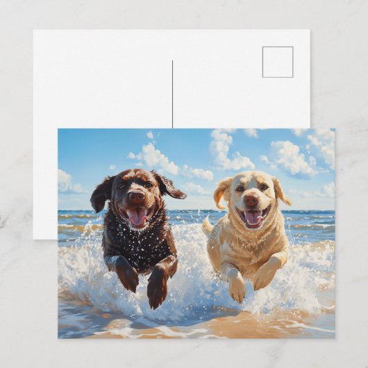 Two Labrador Retrievers on Beach ポストカード (正面/裏面)