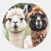 Two Llamas ラウンドシール (正面)