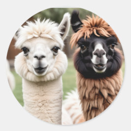 Two Llamas ラウンドシール
