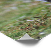 Two love penguins ポスター (角)