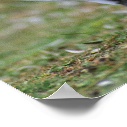 Two love penguins ポスター (角)