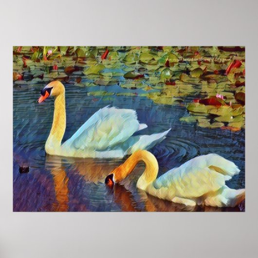 Two mute swans in the water lily pond [Poster] ポスター (正面)