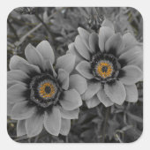 Two of a Kind スクエアシール (正面)