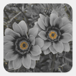 Two of a Kind スクエアシール