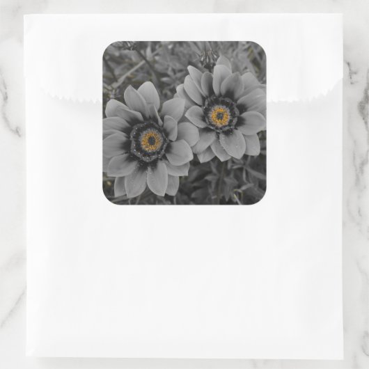 Two of a Kind スクエアシール (バッグ)