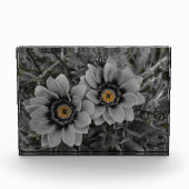 Two of a Kind フォトブロック (正面)