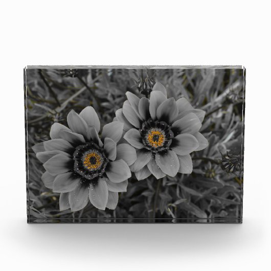 Two of a Kind フォトブロック (正面)