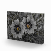 Two of a Kind フォトブロック (右)