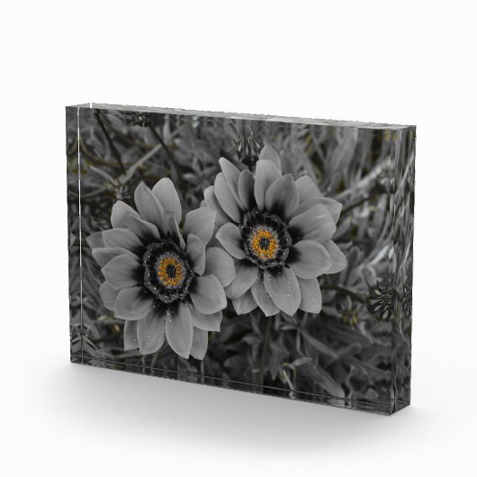 Two of a Kind フォトブロック (右)