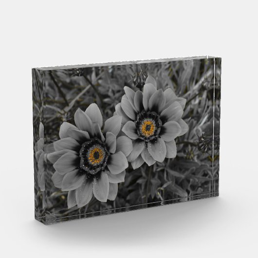 Two of a Kind フォトブロック (左)