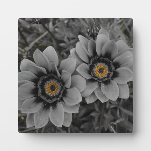 Two of a Kind フォトプラーク (正面)