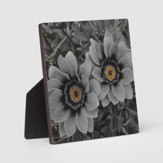 Two of a Kind フォトプラーク (正面)