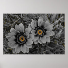 Two of a Kind ポスター