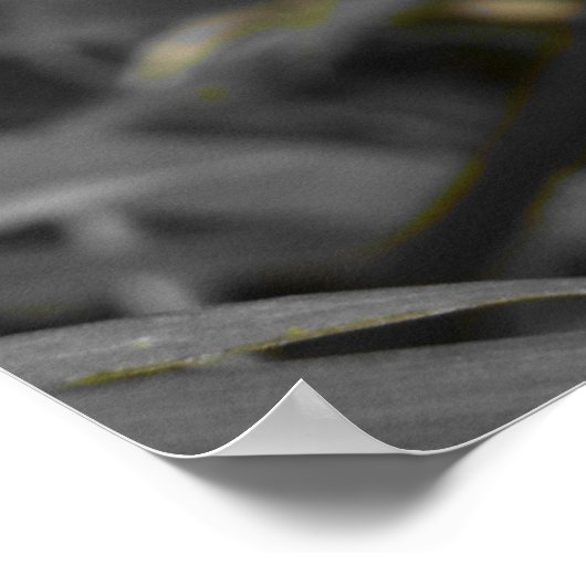 Two of a Kind ポスター (角)