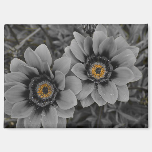 Two of a Kind マグネット (正面)