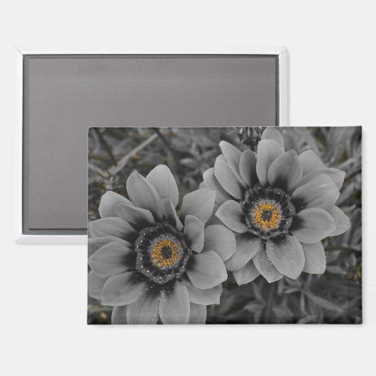 Two of a Kind マグネット (正面/裏面)